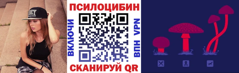 Псилоцибиновые грибы Cubensis Южа